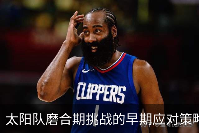 太阳队磨合期挑战的早期应对策略研究